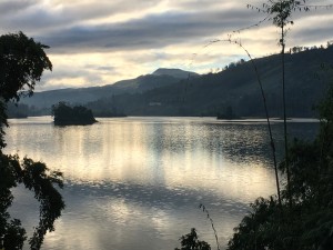 IMG 0029