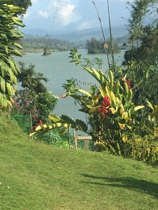 IMG 0115