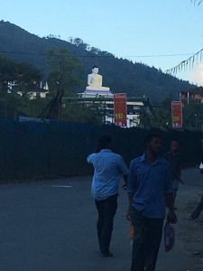 IMG 0176