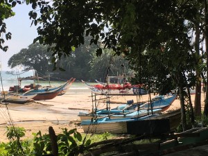 IMG 0530