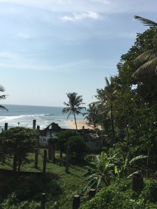 IMG 0608