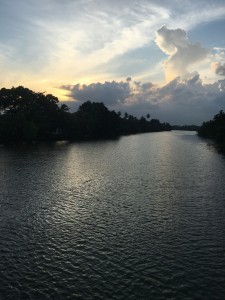 IMG 0622