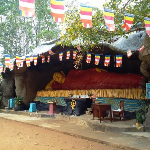 IMG 20160101 081404